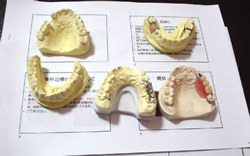 お渡しした資料と説明用模型
