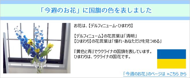 今週のお花に国旗の色を表しました