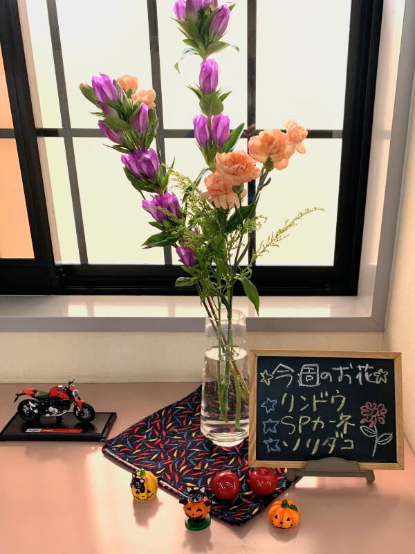 リンドウ・スプレーカーネーション・ソリダコ