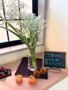 カスミ草・キキョウラン