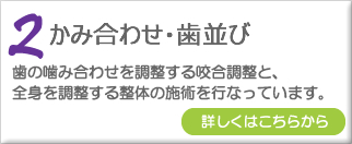 かみ合わせ・歯並び