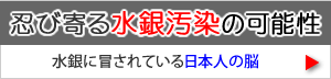 【忍び寄る水銀汚染の可能性】