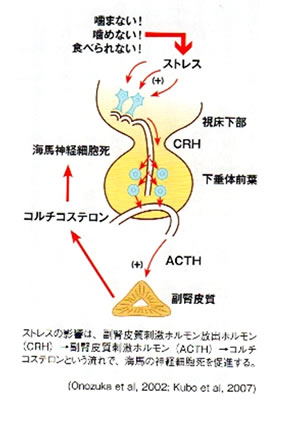 認知症