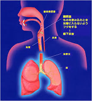 病気が治る鼻うがい健康法