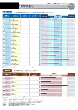 ミネラル検査結果