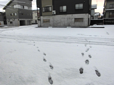 先日の寒い日