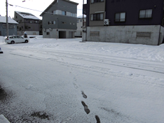 久しぶりの降雪です