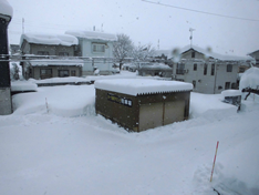 連日の大雪です