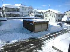 連日の大雪です