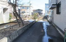 敷地内の雪もかなり消えてきました