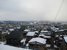 小雨でしたが除雪の無い元旦です。