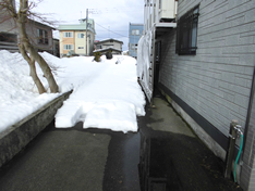 今年は小雪で、例年よりかなり少ないです