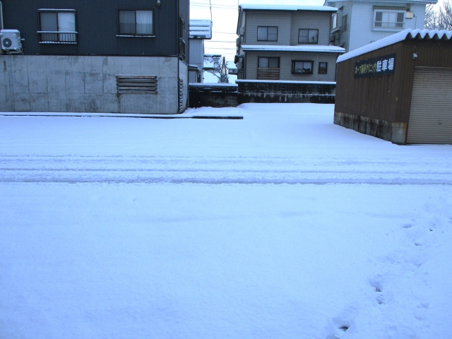 季節外れの積雪です