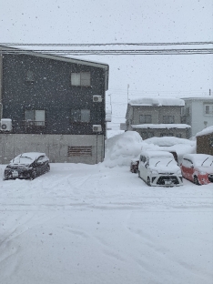雪が強まって来ました！一週間降り続く予定です。