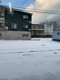 ひさしぶりの降雪です